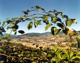 La valle di Langhirano